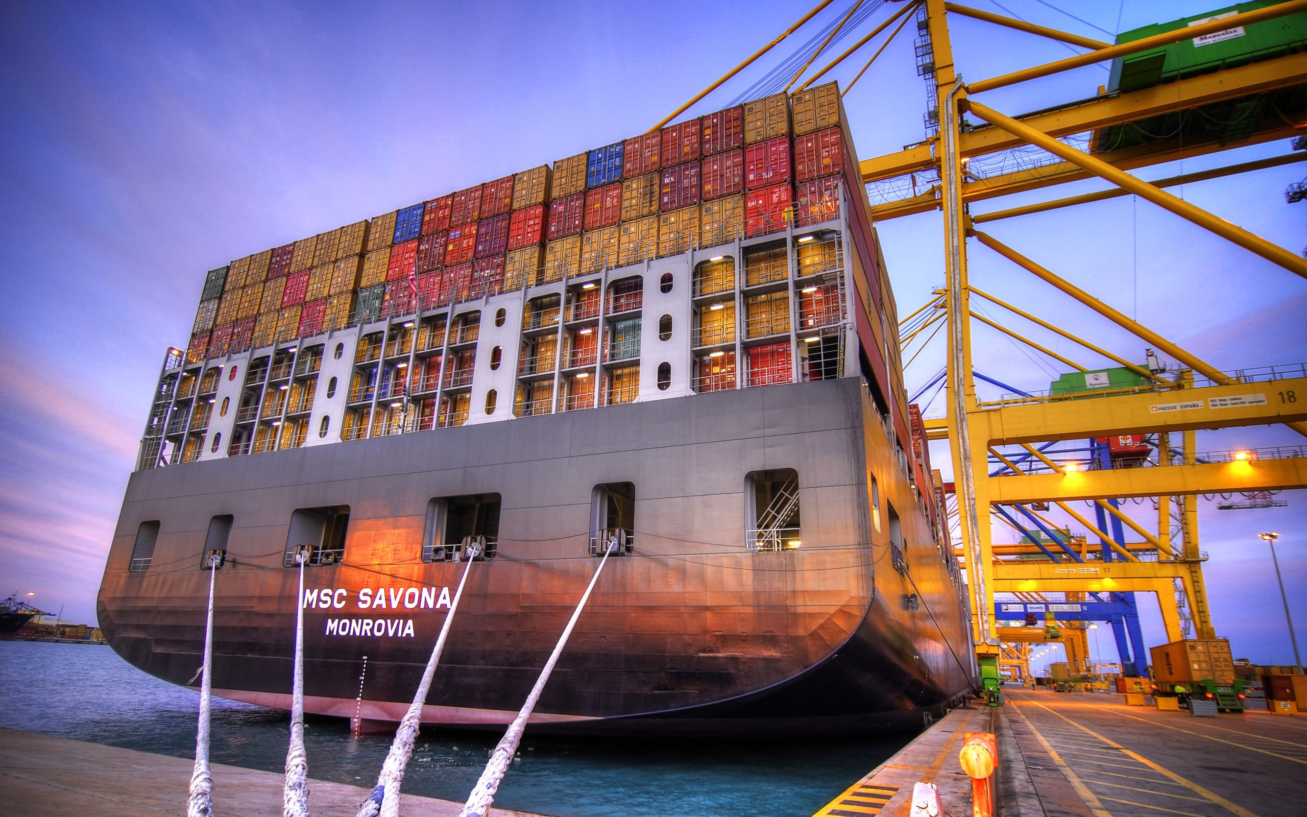msc-savona-4k-cargo-ship-cargo-transport-container-ship